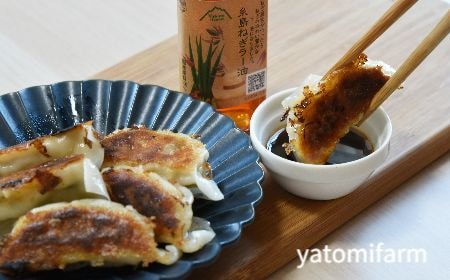 糸島ねぎラー油焼き餃子